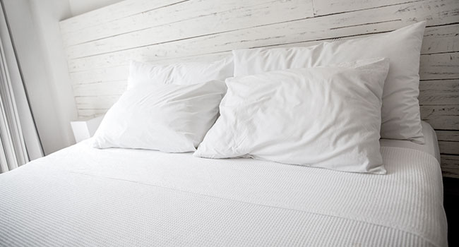 Curious About Organic Mattresses? Latest Guide Gives Answers