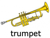 Trumpet Case Net
