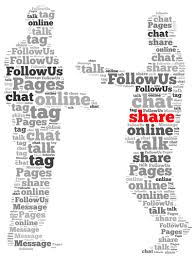 social media audience