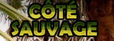 Cote Sauvage'