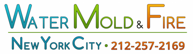 Water Mold &amp; Fire New York City'