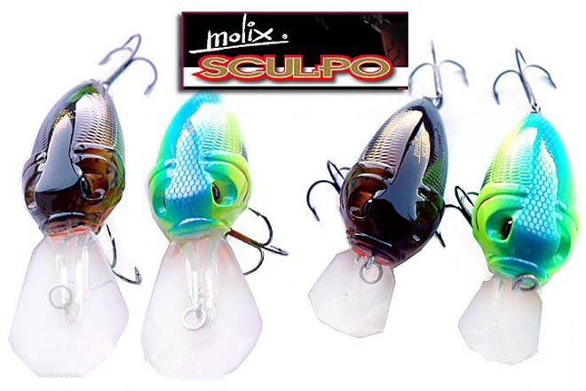 Molix Sculpo