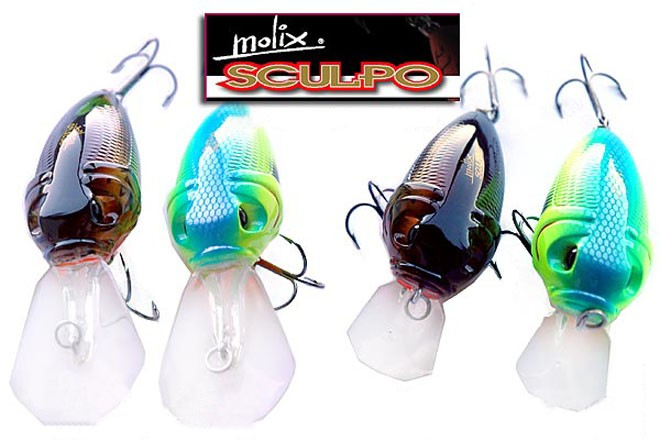 Molix Sculpo'