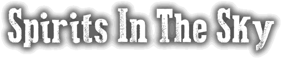 SpiritsInTheSkyLLC.com Logo