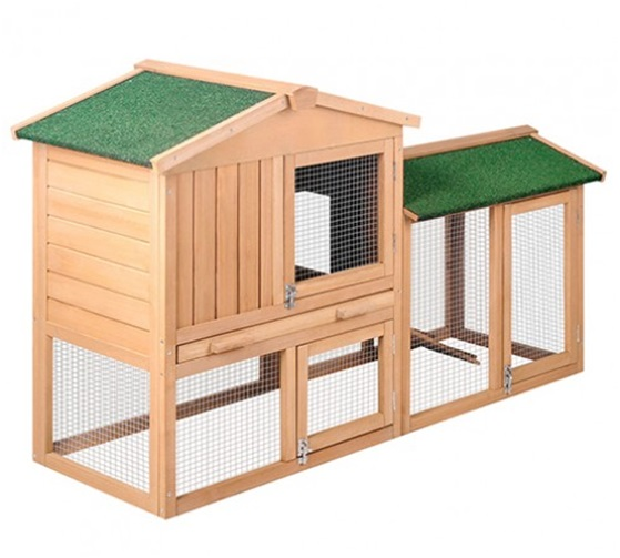 Coops And Cages Sees Growth In Pet Pampering Services And Ta