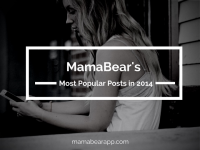 MamaBear&rsquo;s Most Popular Posts in 2014