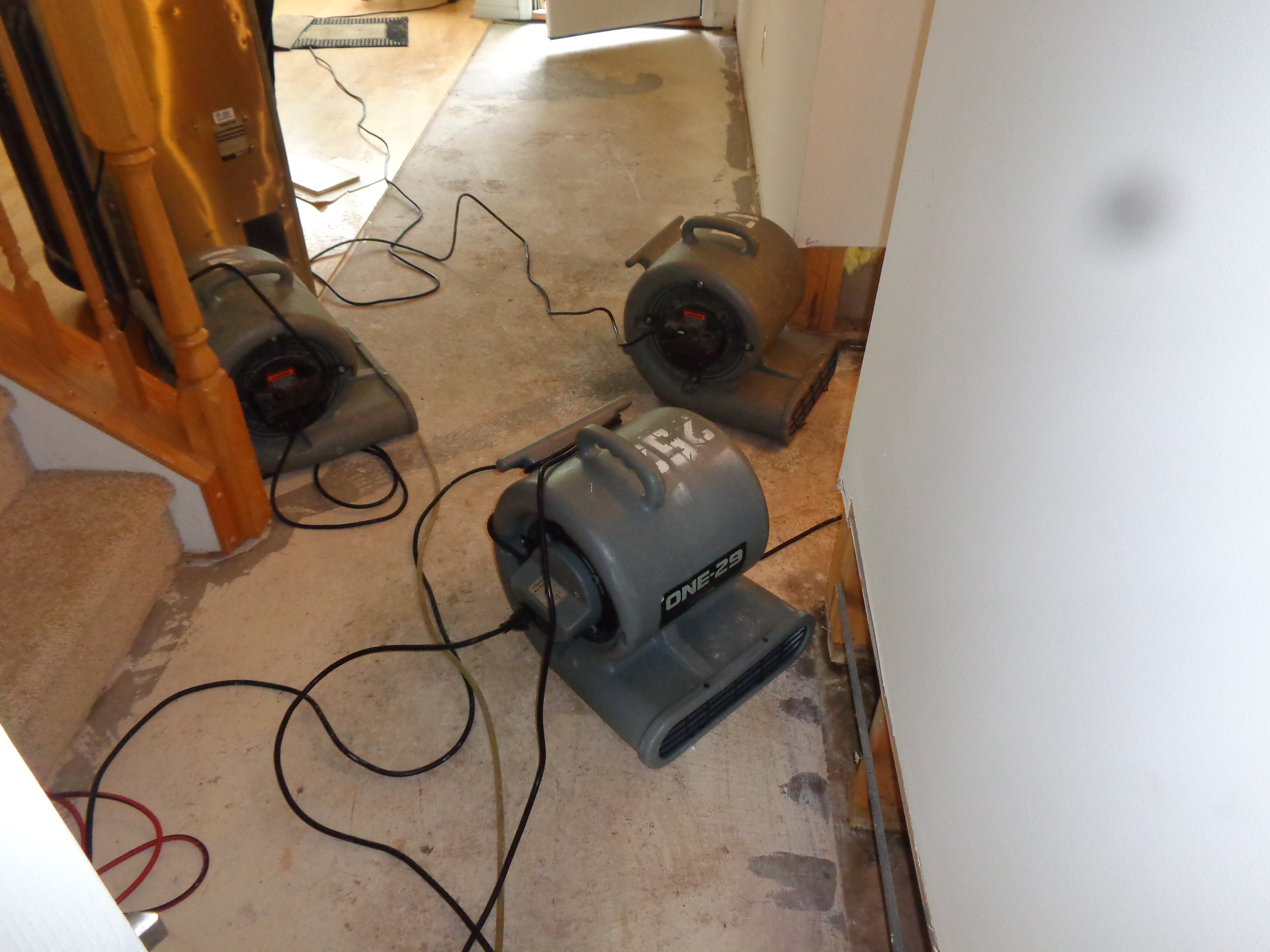 Doylestown Basement Flood Cleanup and Repairs