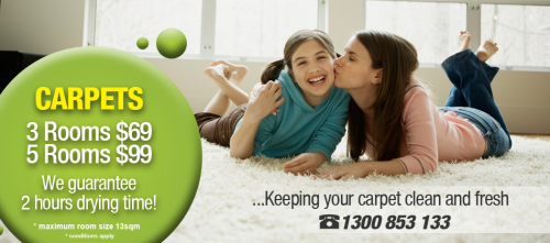 Company Logo For Pure Fresh Carpet Cleaning'