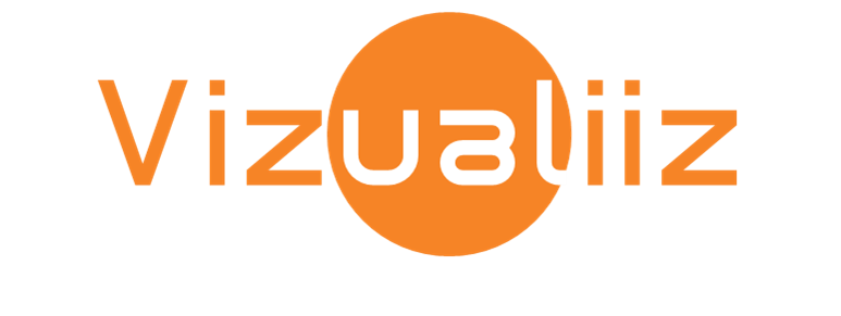 Company Logo For Vizualiiz'