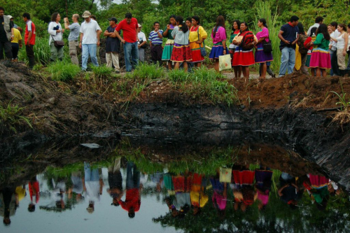 STOP ECOCIDE IN THE AMAZON'