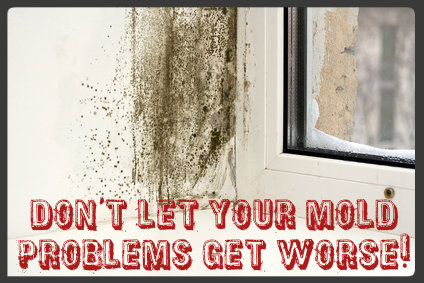 Mold Remediation Pros'