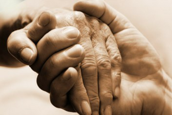 Give a hand to seniors.'