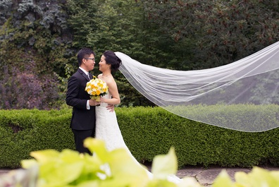 toronto wedding
