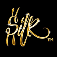 Silk Dynasty Stocks Logo