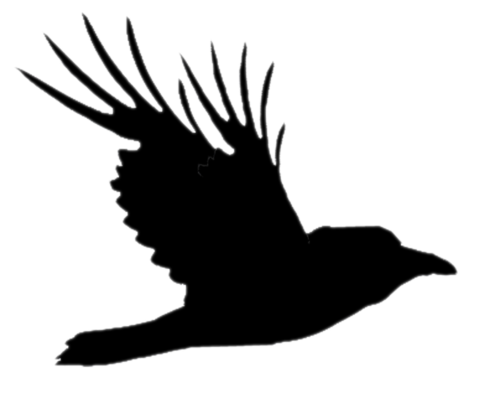 Raven Firm, LC Logo