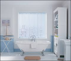 bathroom blinds'