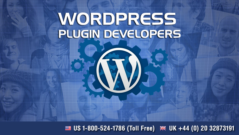 Company Logo For Plugin Developers India'