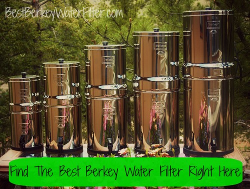 Berkey Water Filter'