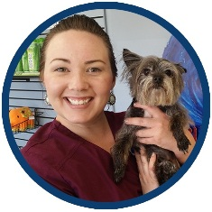 Surfside Animal Hospital