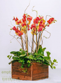 Luxury Floral Arrangements in Los Angeles by Empty Vase