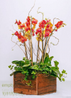 Luxury Floral Arrangements in Los Angeles by Empty Vase'