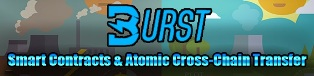 BurstCoin'