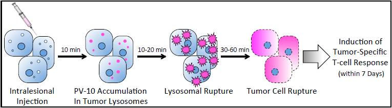 Provecuts mechanism of action