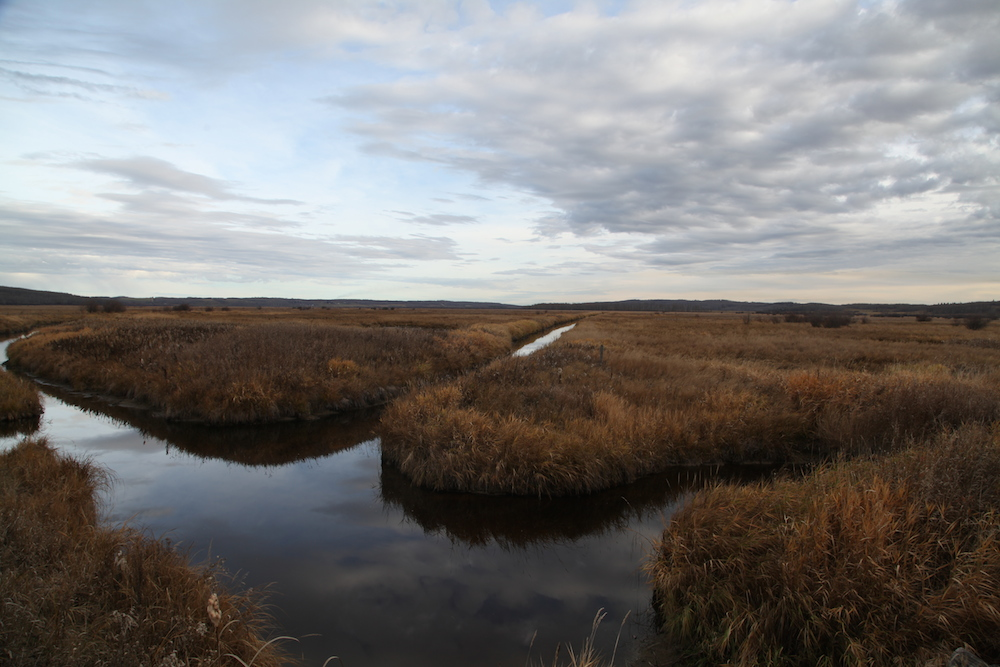 Tomahawk Cattle Ranch 2013 AB Beef Producers 2013 Environmen'