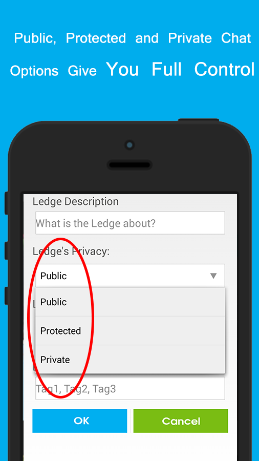 LocalLedge App'