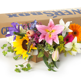 Wholesale Flowers'