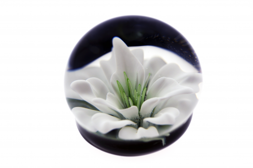 Hand Blown Glass 3-D White Flower Paperweight'
