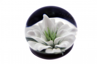 Hand Blown Glass 3-D White Flower Paperweight