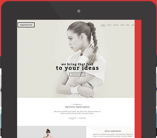 Wordpress website