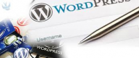 Wordpress website development Sydney