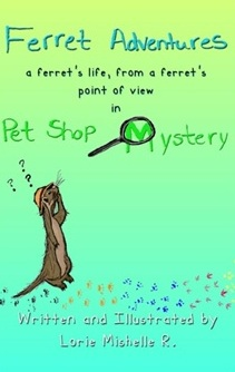 Ferret Adventures