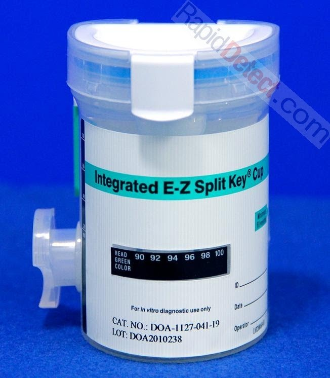 Rapid Detect INC