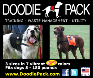 utility dog backpack'