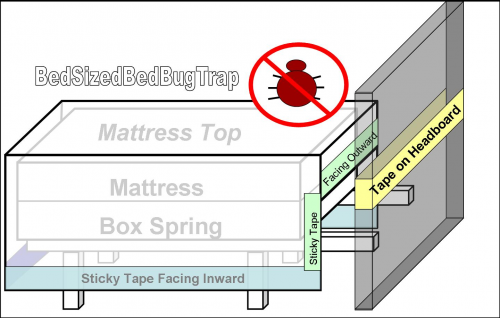 Bed bug trap'