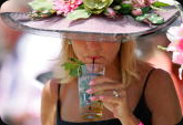 DerbyBox.com'