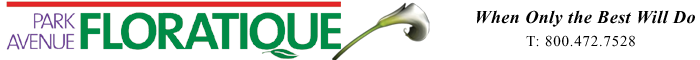 Park Avenue Floratique