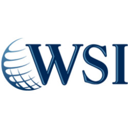 Company Logo For WSI'