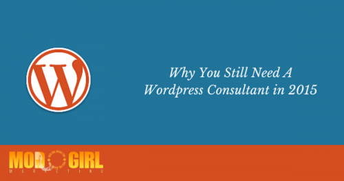 Why You Still Need A WordPress Consultant in 2015'
