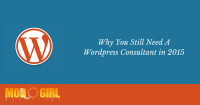 Why You Still Need A WordPress Consultant in 2015