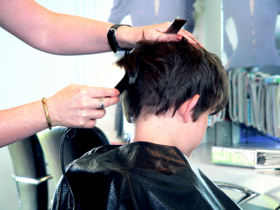 Lice to Kill