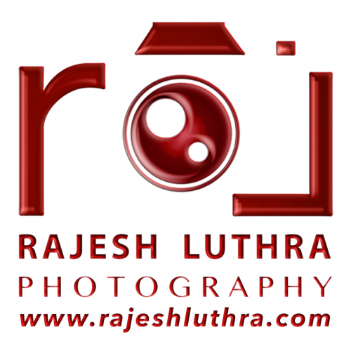 Company Logo For RAJESH LUTHRA'