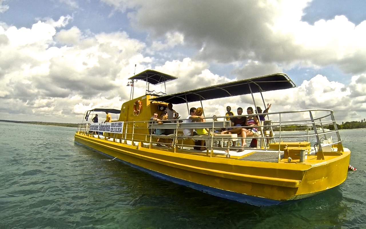 Kenavo Tropical 2'