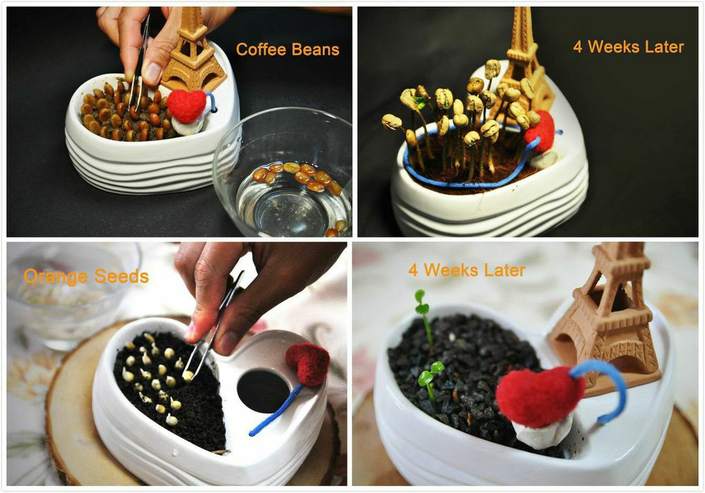 GreenTrav Planter on Kickstarter