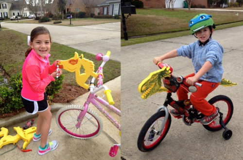 Bike PetZ Roll Into Production with Funding Assistance'