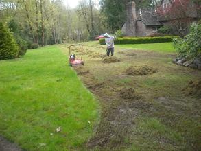 Eager Beaver Lawncare'