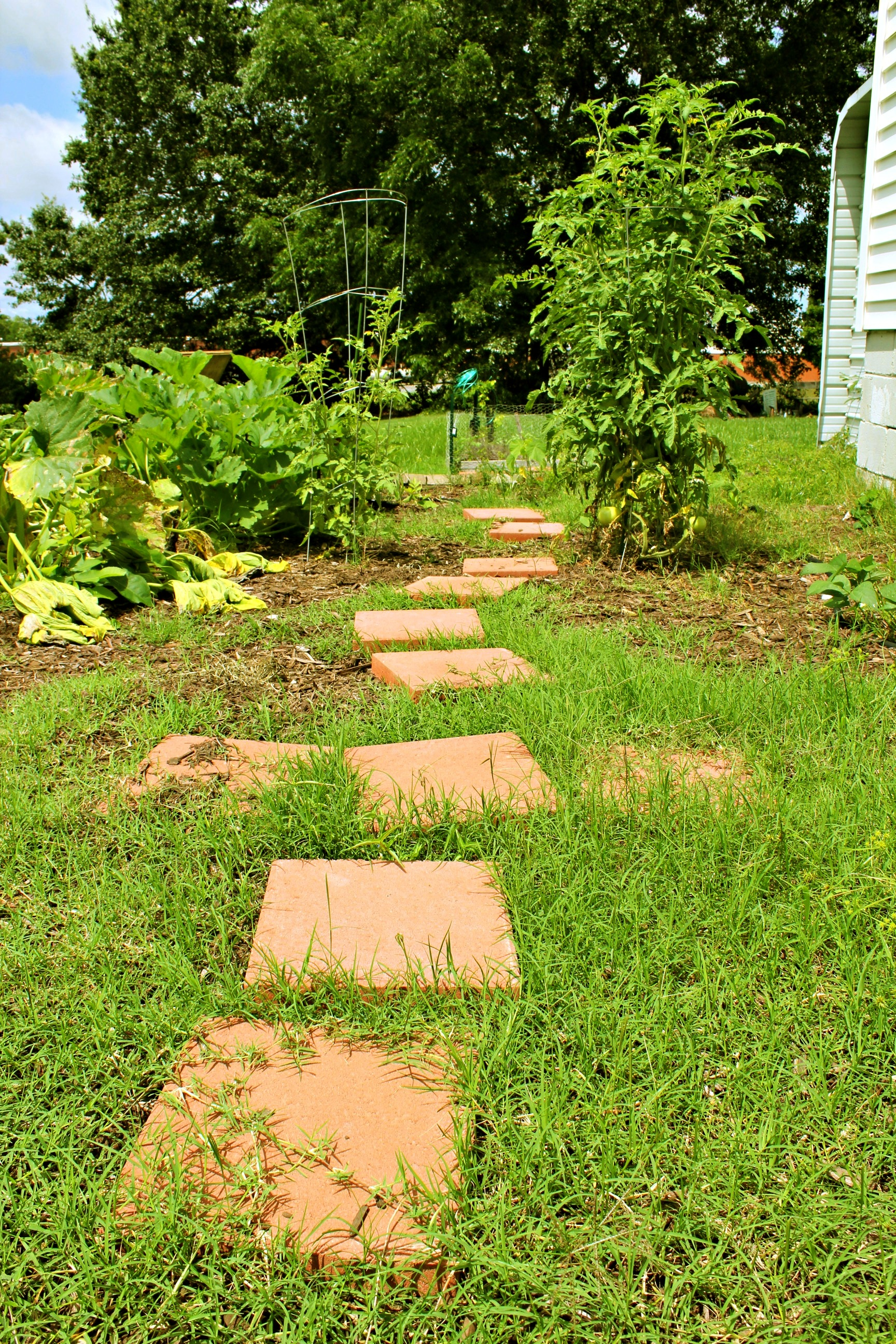 Garden Fresh Vegetables